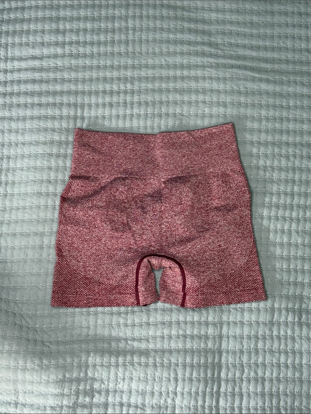 Marled Rose Seamless Workout Shorts